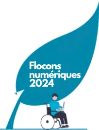 Flocons numériques